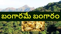 బంగారంపై మన కరువు తీరబోతోంది, ఆ అడవిలో రూ. 10 వేల ఎకరాల్లో Gold గనులు, తవ్వేందుకు అనుమతివ్వాలని..