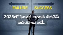 Business Ideas: 2025లో బోర్లా పడ్డ బిజినెస్ ఐడియాలు ఇవే! ఈ తప్పులు మీరు చేయకండి!
