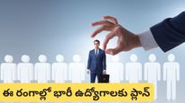 Budget 2026: నిరుద్యోగులకు గుడ్ న్యూస్! ఆ రంగాల్లో 20 లక్షల ఉద్యోగాలు వచ్చేలా ప్లాన్!