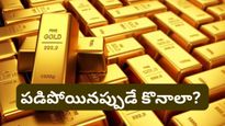 నష్టాల తర్వాత మళ్ళీ పుంజుకున్న Gold ETF..! ఇప్పుడు ఇన్వెస్ట్ చేయొచ్చా? నిపుణుల సలహా ఇదే!