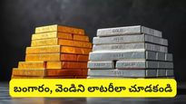 Gold silver: బంగారం, వెండి లాటరీ టికెట్లు కావు! ఇన్వెస్ట్ చేసేవాళ్లు ఎలాంటి మైండ్‌సెట్‌తో ఉండాలంటే..