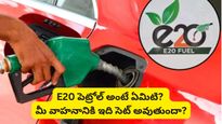 E20 Petrol: దేశవ్యాప్తంగా మారనున్న పెట్రోల్ రూల్స్! ఇకపై E20 పెట్రోల్ తప్పనిసరి!