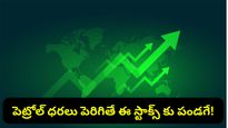 Stock market: మార్కెట్ షాక్ ఇచ్చినా భయం వద్దు.. ఇన్వెస్టర్లకు ఇవే సేఫ్ ఆప్షన్లు!