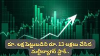 Stock market: రూ. 23 నుంచి రూ. 313 కి పెరిగిన షేరు.. ఇప్పుడు 1 కొంటే 8 షేర్లు ఫ్రీ!