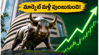 స్టాక్ మార్కెట్‌లో ఊహించని మలుపు: సెన్సెక్స్, నిఫ్టీ భారీ లాభాలు.. ఇన్వెస్టర్లకు మళ్లీ పండగేనా?