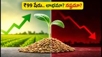 స్టాక్ మార్కెట్లోకి 'ధన్వెల్ హైబ్రిడ్ సీడ్స్': ₹99 షేరుతో ఇన్వెస్టర్లకు లాభాల పంట పండుతుందా?