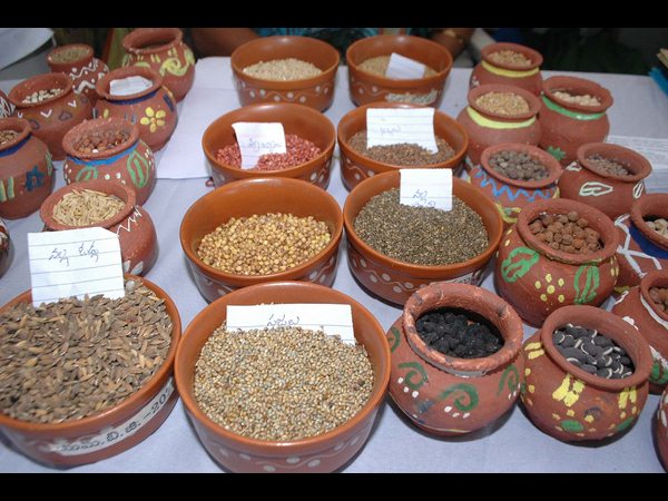 చిరుధాన్యాలు చిరుధాన్యాలు