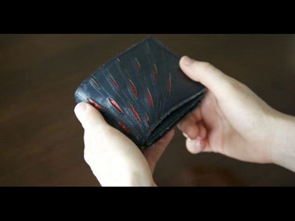 ఈ వాలెట్ అంటే ఏమిటి, లాభమా, నష్టమా?