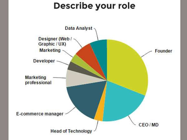 సీనియర్ మేనేజర్స్: ఈ కామర్స్ 