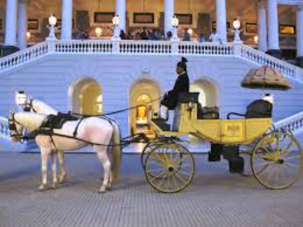 వీటికి పరిహారం రాదు...