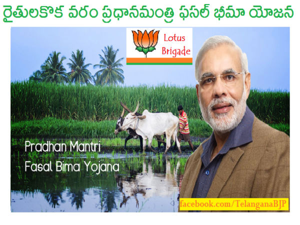 3. బీమా ప‌రిధిలో...