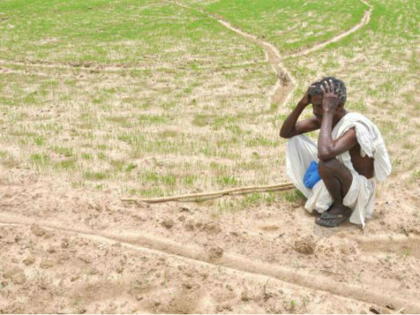 7. ఇటీవ‌లి కాగ్ నివేదిక‌