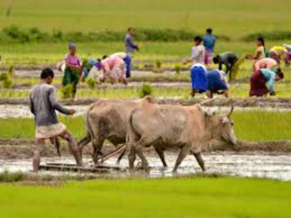 10. సీఎస్ఈ అధ్య‌యనంలోని లెక్క‌లు