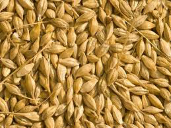 3. ఓట‌మిని ఒప్పుకోలేదు...