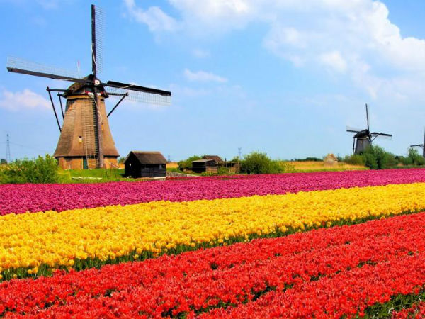 14. నెదర్లాండ్స్ ($ 53,580)