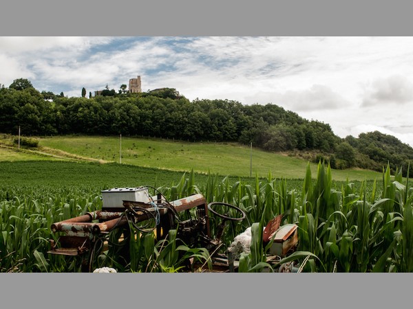 9. భూ బ్యాంకులో జమ: 