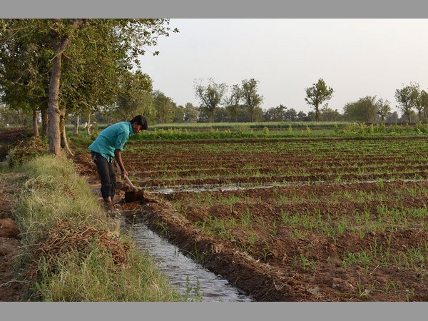 11. సమగ్ర పరిహార ప్యాకేజీ: 
