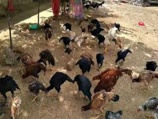 ఖమ్మం జిల్లాకు సంబందించిన రైతు