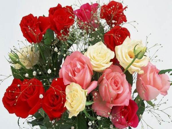 2. పువ్వులు మరియు గులాబీలు: