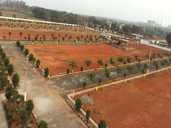 పెద్దాపురం: