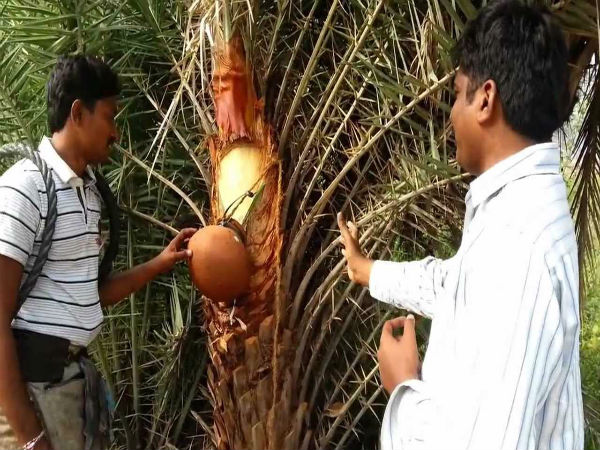 కళ్ళు గీత కార్మికులకు: