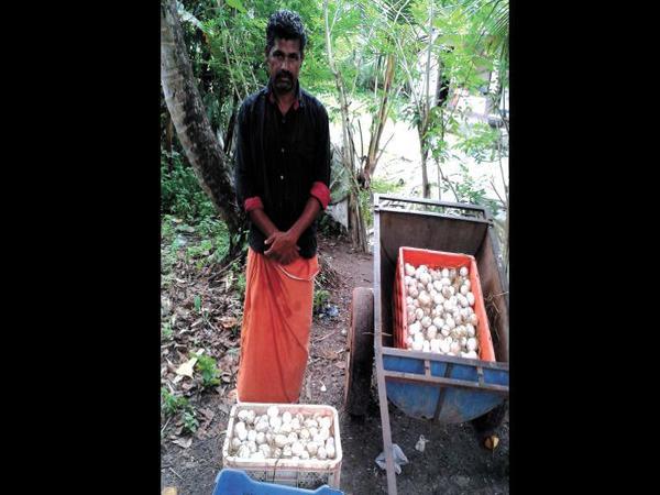  నష్టానికి 