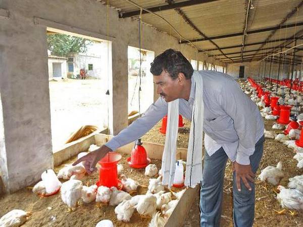 రైతులు వాపోతున్నారు