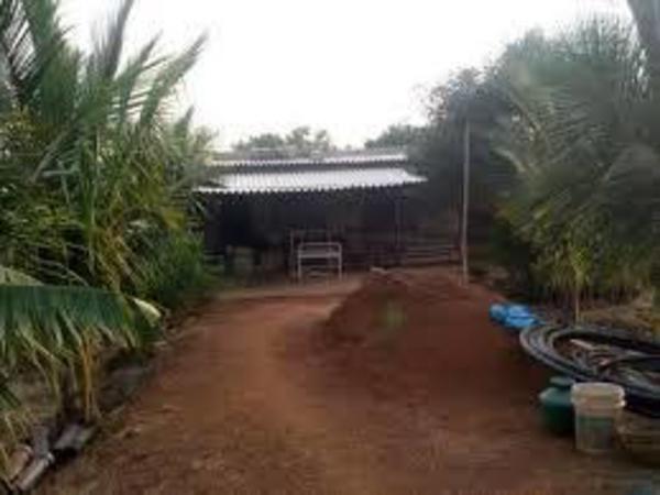 48 గంటలలోనే 