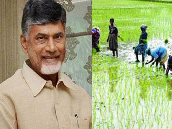  రైతు బీమా ద్వారా ప్రయోజనం