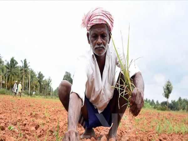 10 రోజుల్లోనే