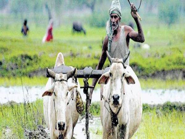 వార్షిక ఆదాయం 