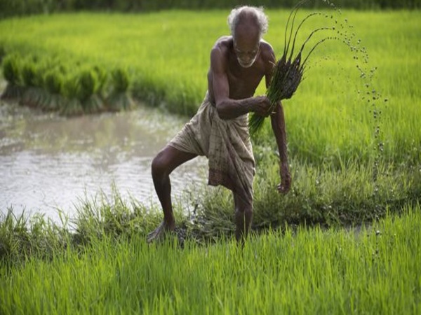  పట్టాదార్