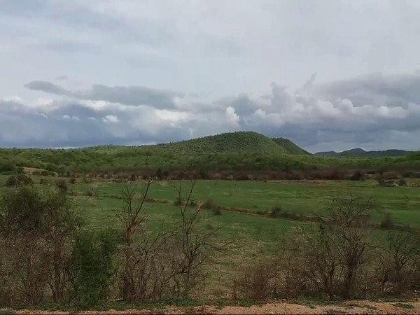 చిగురుగుంట-బిసనట్టంలో