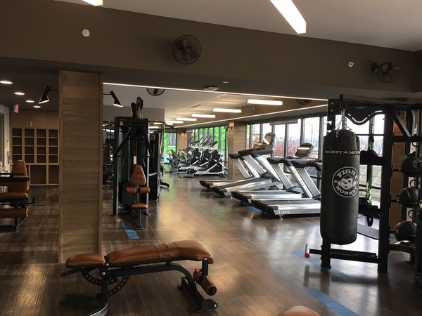 మధ్యస్తంగా