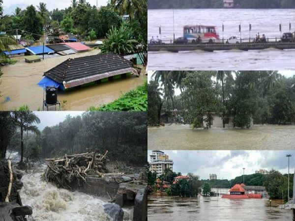 భీమా సంస్థలు: