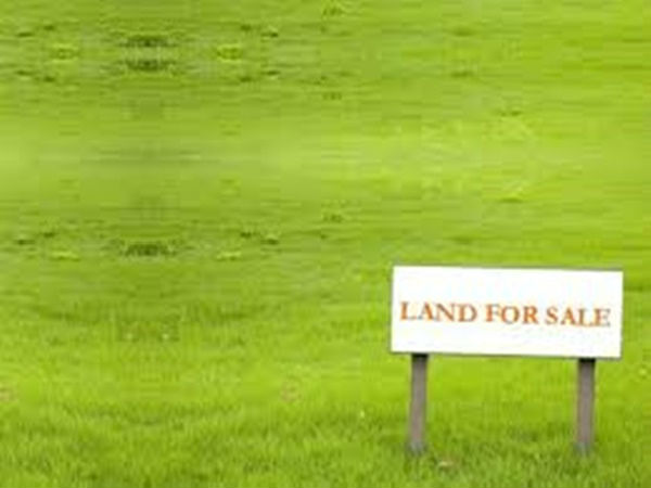 4.రియల్ ఎస్టేట్: 