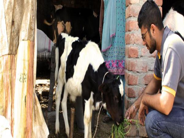  చెన్నైలో సాఫ్ట్ వేర్ 