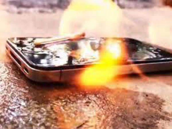 బీమా వర్తింపు: