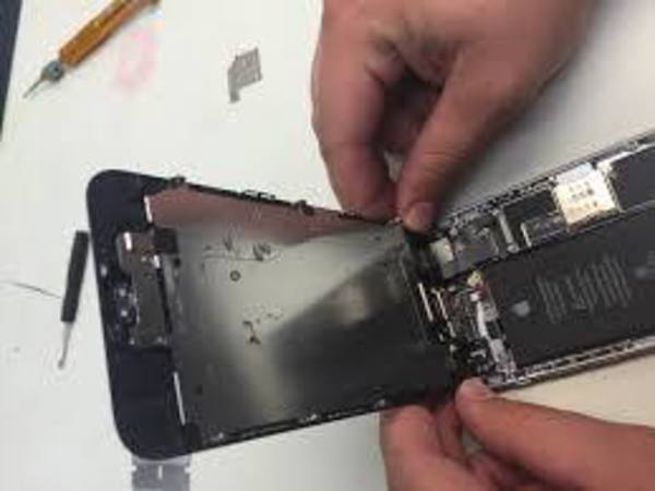 బీమా వీటికి వర్తించదు: 