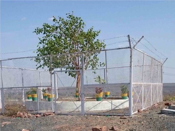 15 ఎకరాల విస్తీర్ణంలో