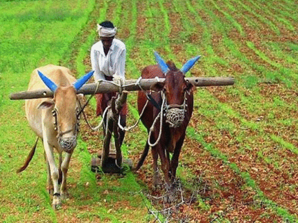అదృష్టాన్ని