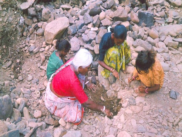  దాదాపుగా