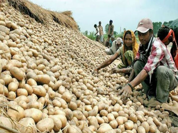 గిట్టుబాటు ధరలు: