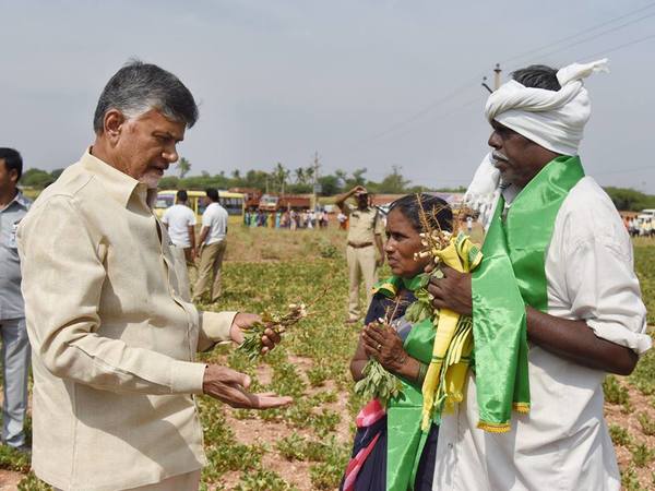 భూధార్ నెంబర్