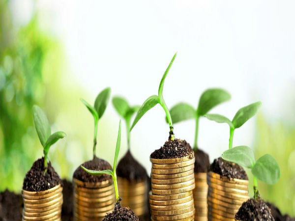 ఉమ్మడి యాజమాన్యం: 