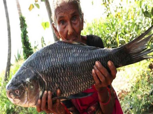 రుచికరమైన: