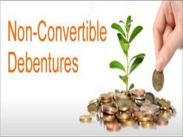నాన్ కన్వర్టబుల్ డిబెంచర్స్‌లో పెట్టుబడి: