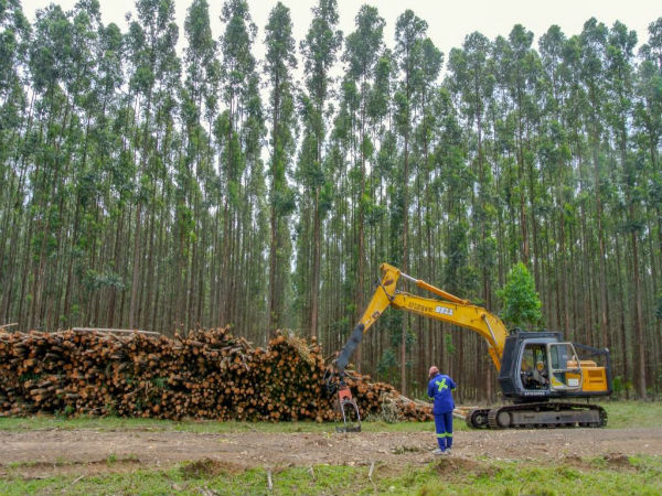 ఆంధ్రప్రదేశ్ ఎకనామిక్ డెవలప్మెంట్ బోర్డు