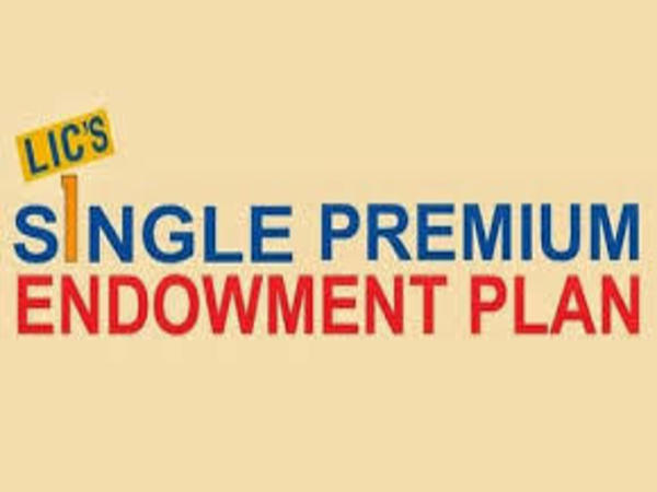 సింగల్ ఎండోన్మెంట్ ప్లాన్: