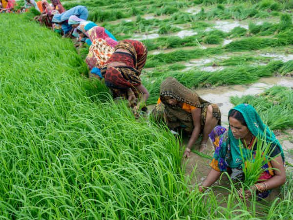 రైతుకు అండగా